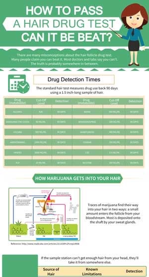 How to Pass a Hair Drug Test (Infographic)