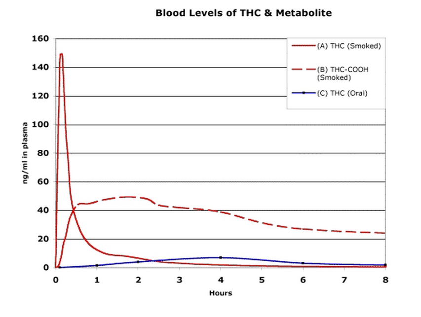 Levels Of Thc In Urine Charts