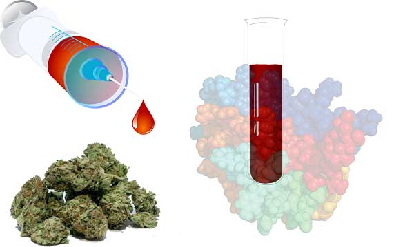 Marijuana Blood Test